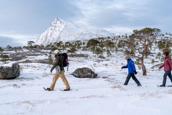 Snowshoeing - Day Trip in Bodø, Northern Norway