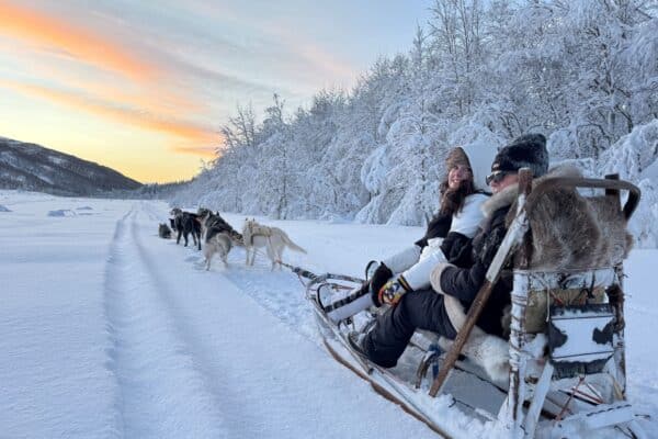 Dog Sledding near Bodø, Sulitjelma